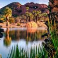 Exploring the Legal Scene in Tempe, Arizona - A Guide for Legal Professionals